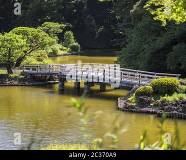 Ponte a zigzag di Upper Pond e foreste di pini e aceri del tradizionale giardino giapponese Foto Stock