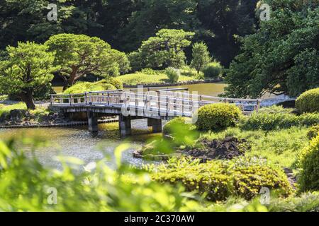 Ponte a zigzag di Upper Pond e foreste di pini e aceri del tradizionale giardino giapponese Foto Stock