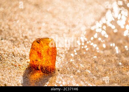 Ambra su una spiaggia del Mar Baltico nel surf Foto Stock