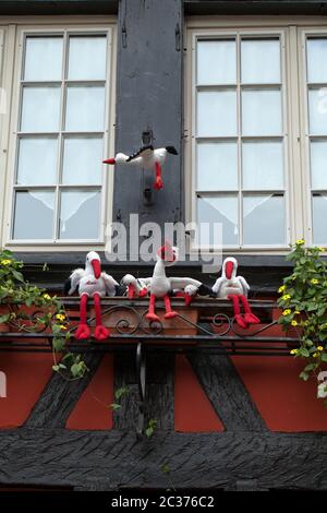 Originariamente la finestra decorata in Colmar. L'Alsazia, Francia Foto Stock