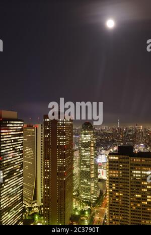 Vista panoramica notturna dall'edificio governativo metropolitano di Tokyo in una notte di luna piena. Foto Stock