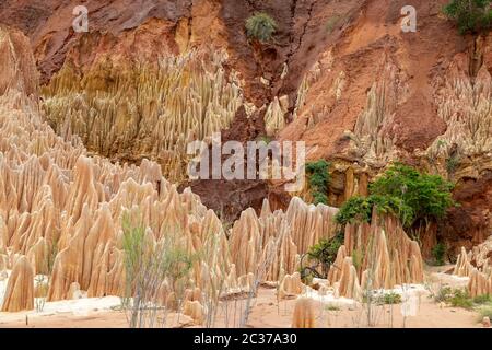 In arenaria rossa e formazioni di aghi (Tsingys) in Tsingy Rouge Park in Madagascar, Africa Foto Stock