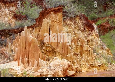 In arenaria rossa e formazioni di aghi (Tsingys) in Tsingy Rouge Park in Madagascar, Africa Foto Stock