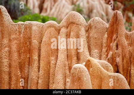 In arenaria rossa e formazioni di aghi (Tsingys) in Tsingy Rouge Park in Madagascar, Africa Foto Stock