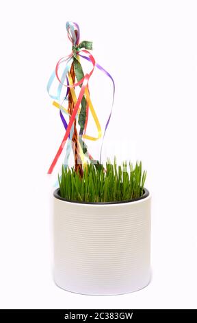 Erba di grano fresco coltivata in vaso con frusta decorata con nastri multicolore. Decorazioni tradizionali di primavera Pasqua. Foto Stock