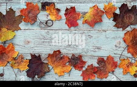 Foglie d'autunno colorate su sfondo di legno blu Foto Stock
