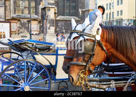 Carrozze trainate da cavalli tradizionali nel centro di Vienna Foto Stock