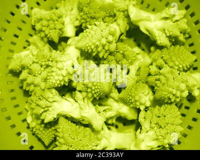 romanesco broccoli (Brassica oleracea) aka cavolfiore romanico o broccia verdure vegetariane e vegane Foto Stock