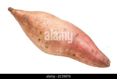 Fresco di patata dolce (Ipomoea batatas, batata) isolato su sfondo bianco Foto Stock