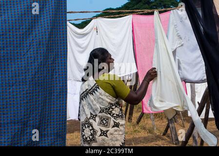 Dhobi Khana a Veli a Fort Kochi, dove la comunità vannana di lingua tamil svolge lavori di lavanderia, la professione praticata dalla comunità Foto Stock