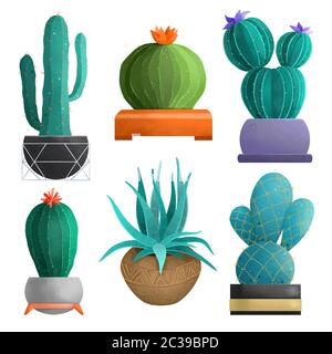 Set di piante diverse in vasi di fiori. Succulenti luminosi e succosi isolati su sfondo bianco. Foto Stock