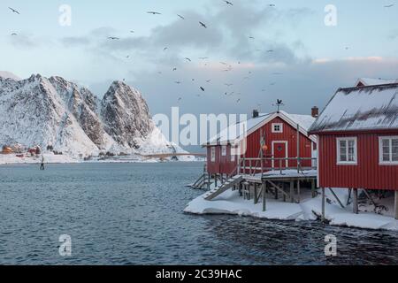 Tradizionali cabine rosse sulle rive del Reinefjorden a Lofoten. Foto Stock
