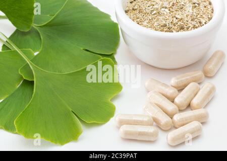 foglie di ginkgo fresche con erbe secche e capsule su sfondo bianco Foto Stock