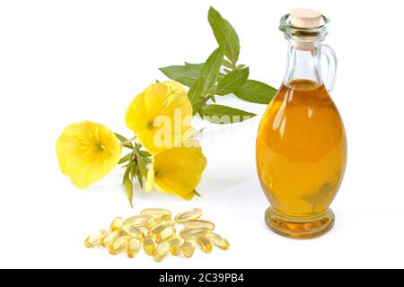 primote serali con capsule di gelatina e flacone di olio su fondo bianco Foto Stock