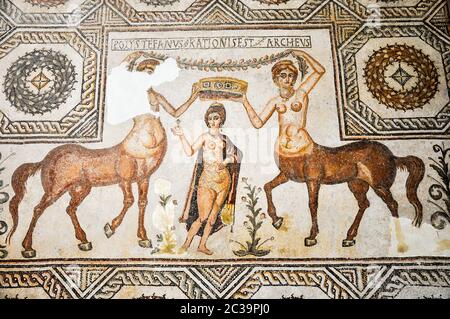 Tunisi, TUNISIA - 06 febbraio 2009: Antichi mosaici romani nel Museo Nazionale del Bardo Foto Stock