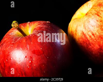 Due mele braeburn lavate con gocce d'acqua su sfondo nero Foto Stock