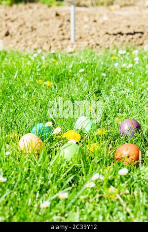 uova di pasqua decorative in un piatto rotondo verde di ceramica su uno  sfondo giallo, vista dall'alto, spazio di copia Foto stock - Alamy