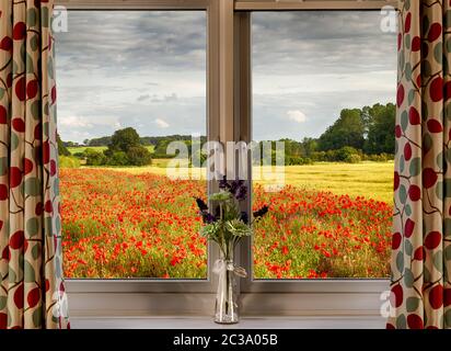 Guardando attraverso una finestra su un campo di papavero in primavera. Rurale scena dall'interno di una casa. Foto Stock