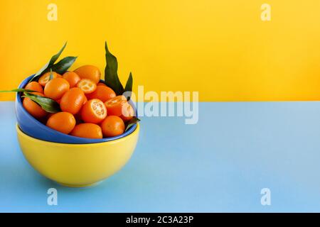 Kumquat frutti in archi su un blu e sfondo giallo Foto Stock