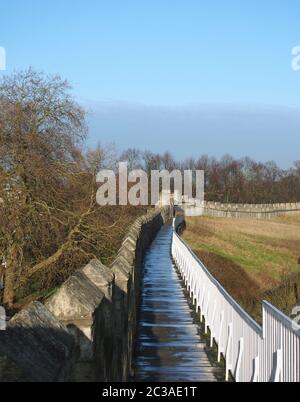 una vista lungo il passaggio pedonale sulle mura medievali storiche della città di york, circondata da alberi e edifici della città Foto Stock