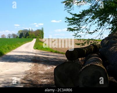 Fellweg zwischen Gleidefeld und gepflÃ¼gtem Acker mit BÃ¤umen am Ende Foto Stock