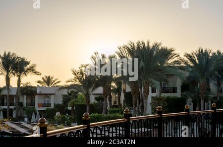 Paesaggio Dawn cielo palme e hotel in egitto a Sharm El Sheikh Foto Stock