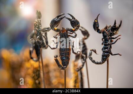 Scorpioni arrostiti e fritti su spiedini per la vendita su un mercato di strada in Cina Foto Stock