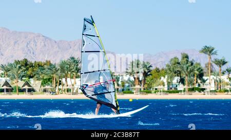 Windsurf corre sulle onde del Mar Rosso sullo sfondo della spiaggia con palme e alte Foto Stock