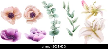 Set di fiori di giglio e di pony con foglie verdi. Vettore Illustrazione Vettoriale