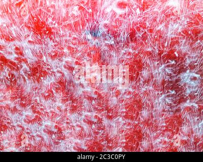 Disegni artistici realizzati su un parabrezza di auto dal movimento spazzolini di lavaggio auto rotanti sfocati, con spruzzi d'acqua sfocati. Foto Stock