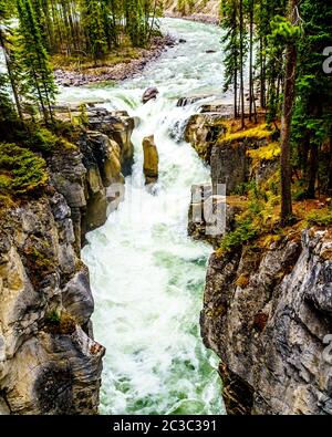 L'acqua del fiume Sunwapta si stanca sul bordo delle cascate Sunwapta prima di congiungersi con il fiume Ayjabasca nel Jasper National Park ad Alberta, Canada Foto Stock