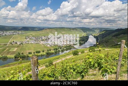 Trittenheim sulla Mosella Renania Palatinato in Germania. Foto Stock