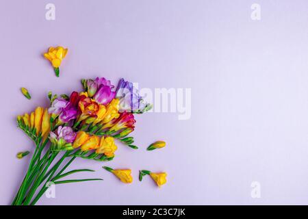 Bouquet di freesias colorate. Foto Stock