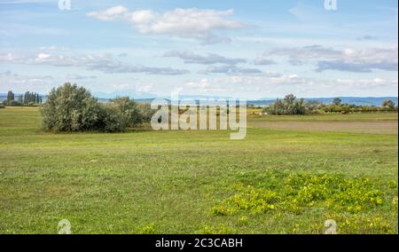 Idilliaco paesaggio rurale attorno a Illmitz in una zona denominata Burgenland in Austria Foto Stock