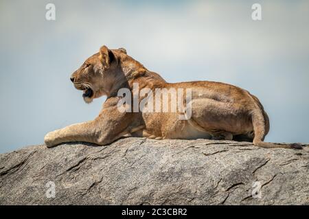 Contesa su roccia sotto cielo nuvoloso Foto Stock