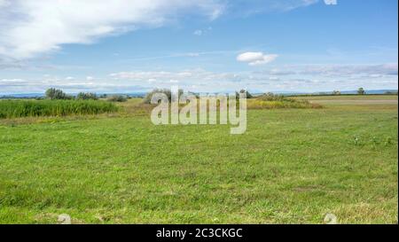 Idilliaco paesaggio rurale attorno a Illmitz in una zona denominata Burgenland in Austria Foto Stock