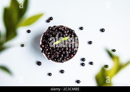 Composizione piatta di ribes nero in una ciotola su sfondo blu con rami verdi sfocati Foto Stock