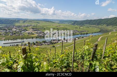 Piesport Panorama sulla Mosella in Germania. Foto Stock