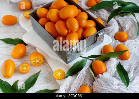 Kumquat frutti su sfondo grigio close up Foto Stock