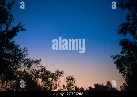 Il tramonto e la notte cielo blu scuro in foresta Foto Stock