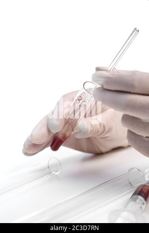 la mano guanto di un assistente di laboratorio tiene una provetta con un campione di sangue su sfondo bianco. anche nella foto è una rosetta Foto Stock