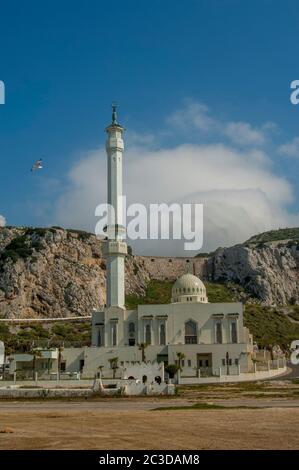 La Moschea di Ibrahim-al-Ibrahim, conosciuta anche come la Moschea del Re Fahd bin Abdulaziz al-Saud (il Re Fahd lo ha dotato) o la Moschea del Custode del Tw Foto Stock