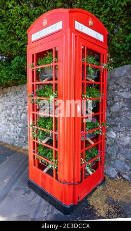 K6 telefono rosso box in una zona tranquilla di Bristol Regno Unito senza vetro ma riempito con vassoi di piante fiorite Foto Stock