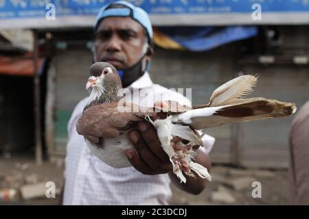 Dhaka, Bangladesh. 19 giugno 2020. Un venditore afferra un piccione come mostra l'attenzione ai compratori su un mercato settimanale del bestiame vicino a Gulistan, Dhaka. Credit: MD Mehedi Hasan/ZUMA Wire/Alamy Live News Foto Stock