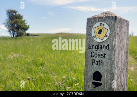 Posto marcatore sul percorso della costa dell'Inghilterra. Kent Regno Unito Foto Stock