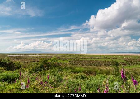 Un'estate, tre scatti HDR immagine, guardando attraverso il Solway Firth da Campfield Marsh nel sud della Scozia. 17 giugno 2020 Foto Stock