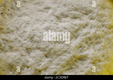 Impasto di focaccia crudo primo piano. Focaccia tradizionale italiana con pane piatto fatto in casa. Foto Stock