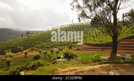 Giro in treno di Ooty Toy in India. Foto Stock