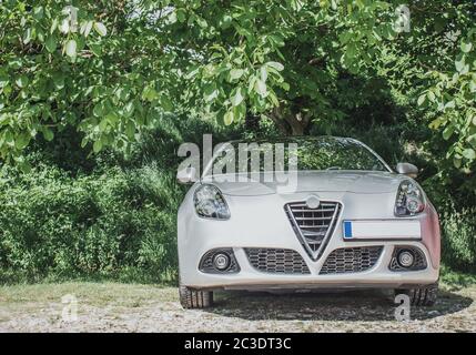 Bella e moderna berlina d'argento parcheggiata sotto un lussureggiante albero verde. Giornata di sole con cespugli che circondano l'auto in natura Foto Stock