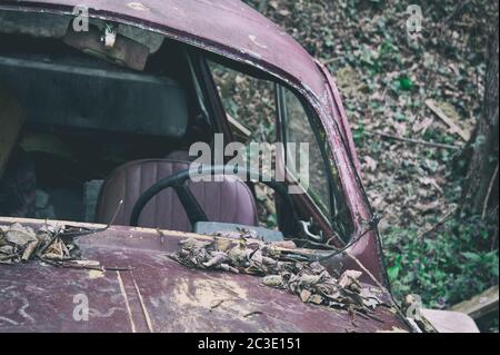 La vecchia auto è abbandonata in natura. Il parabrezza è mancante e il cofano è coperto da foglie. Spostamento del colore con neri silenziati, messa a fuoco superficiale. Foto Stock